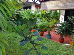 Chester Park (D5), Terrace #161082692